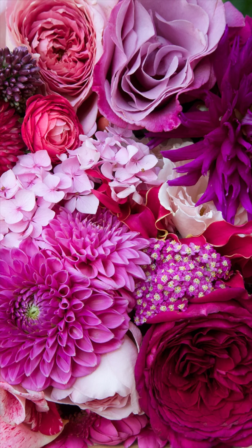 Mobile wallpapers flowers deals